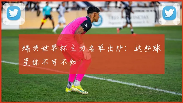 瑞典世界杯主力名单出炉:这些球星你不可不知