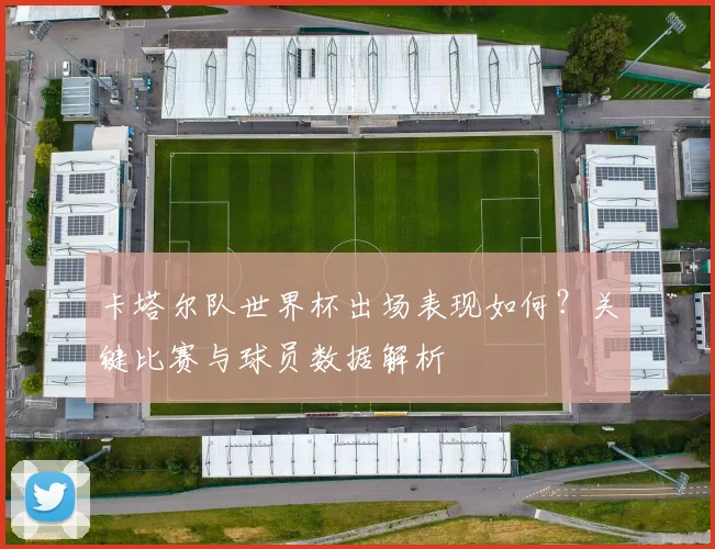 卡塔尔队世界杯出场表现如何？关键比赛与球员数据解析