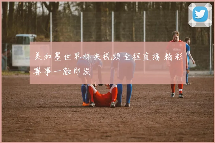 美加墨世界杯央视频全程直播 精彩赛事一触即发